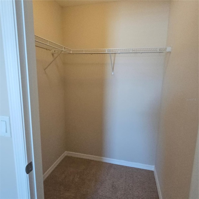 spacious closet featuring dark carpet