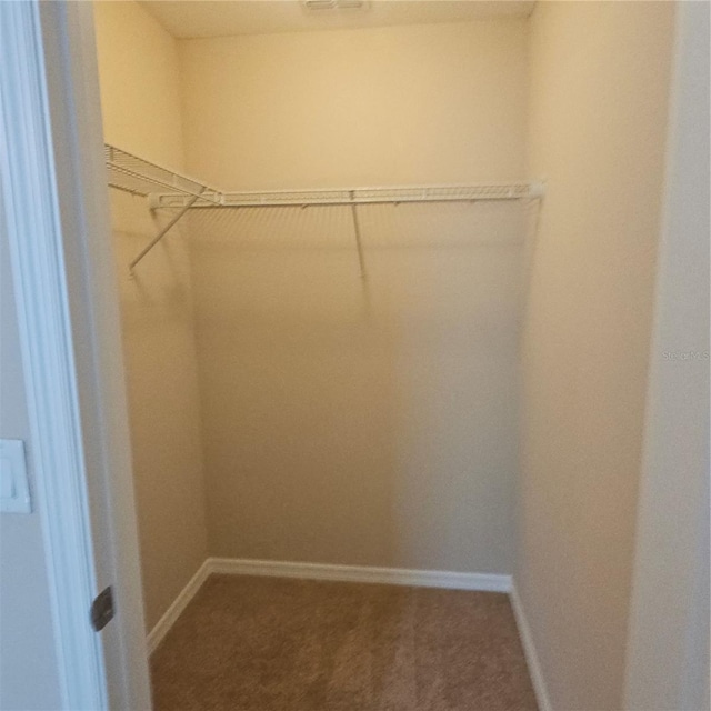 walk in closet featuring carpet
