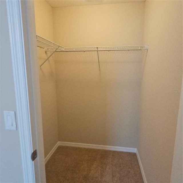 spacious closet with carpet