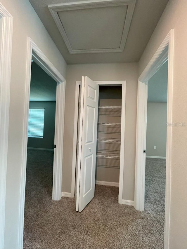 5273 Sanders Oak Trl, Saint Cloud, FL 34771 - corridor with carpet flooring, baseboards, and attic access
