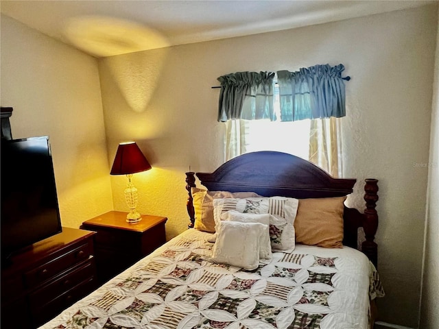 2920 River Birch Dr, Kissimmee, FL 34741 - bedroom with a textured wall