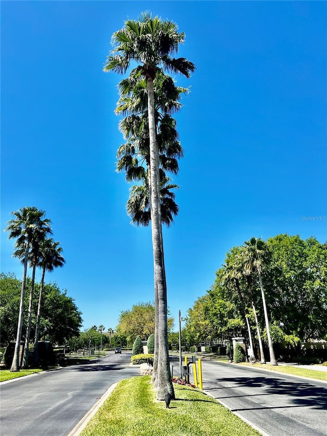 2920 River Birch Dr, Kissimmee, FL 34741 - view of street featuring a gate and a gated entry