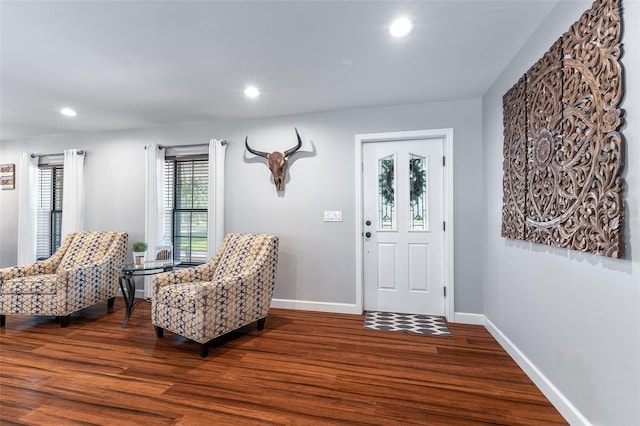 1999 Sir Lancelot Cir, Saint Cloud, FL 34772 - entryway featuring baseboards, a healthy amount of sunlight, wood finished floors, and recessed lighting