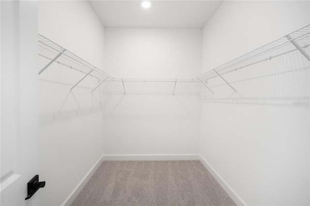 9143 Players Dr, Weeki Wachee, FL 34613 - walk in closet with carpet floors