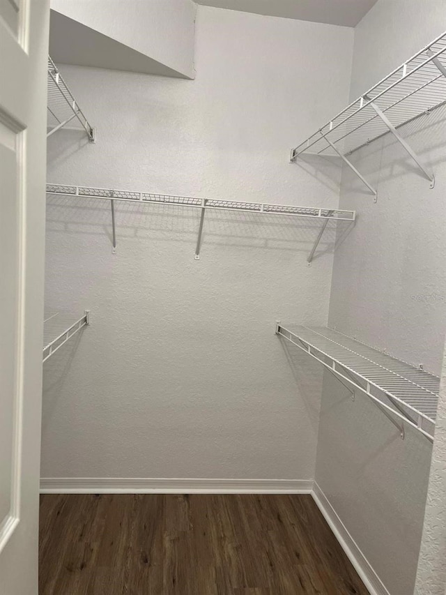 2314 Midtown Ter Unit 1113, Orlando, FL 32839 - spacious closet featuring wood finished floors