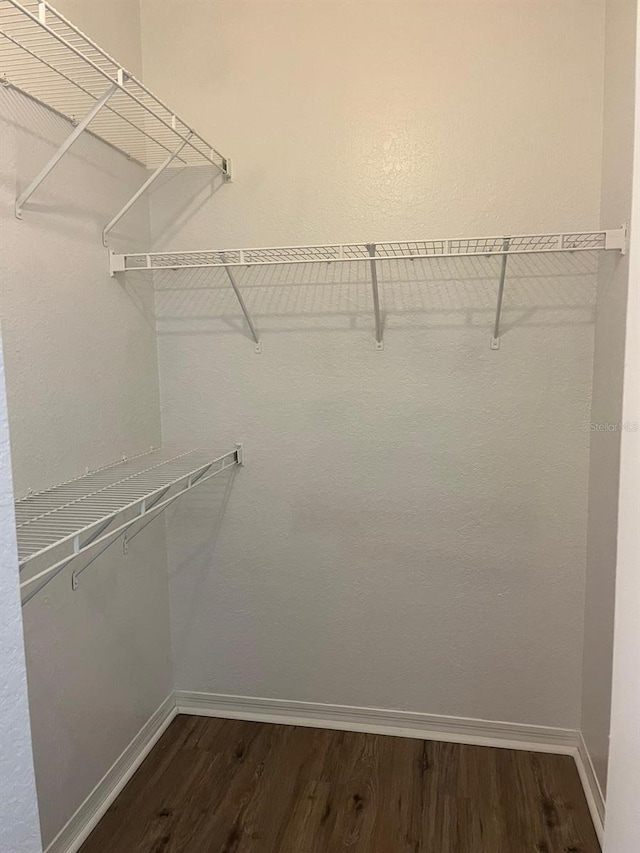 2314 Midtown Ter Unit 1113, Orlando, FL 32839 - walk in closet featuring dark wood-style flooring