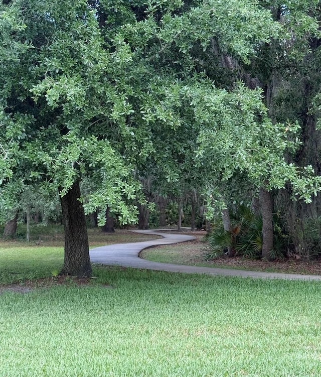 1907 Partin Terrace Rd, Kissimmee, FL 34744 - view of green lawn