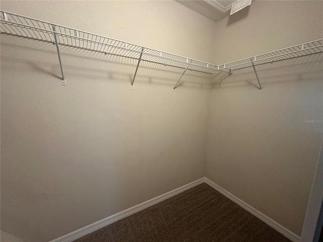 10595 Regent Square Dr Unit 1208, Orlando, FL 32825 - spacious closet with dark carpet