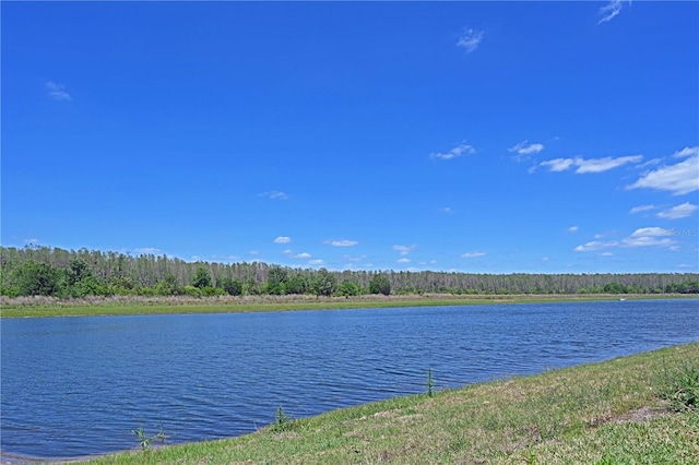 4221 Paragraph Dr, Kissimmee, FL 34746 - property view of water with a forest view