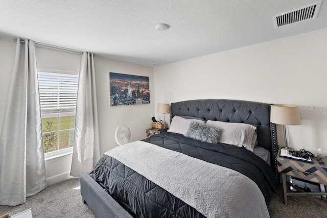 311 Athabasca Pl, Kissimmee, FL 34759 - carpeted bedroom with visible vents