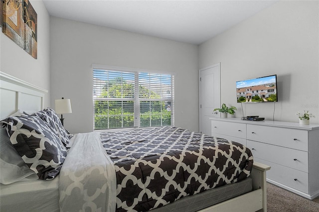 1566 Plunker Dr, Davenport, FL 33896 - bedroom featuring carpet flooring