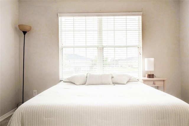 2934 Rodrick Cir, Orlando, FL 32824 - view of bedroom