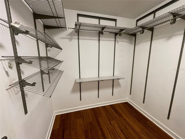 walk in closet featuring wood finished floors