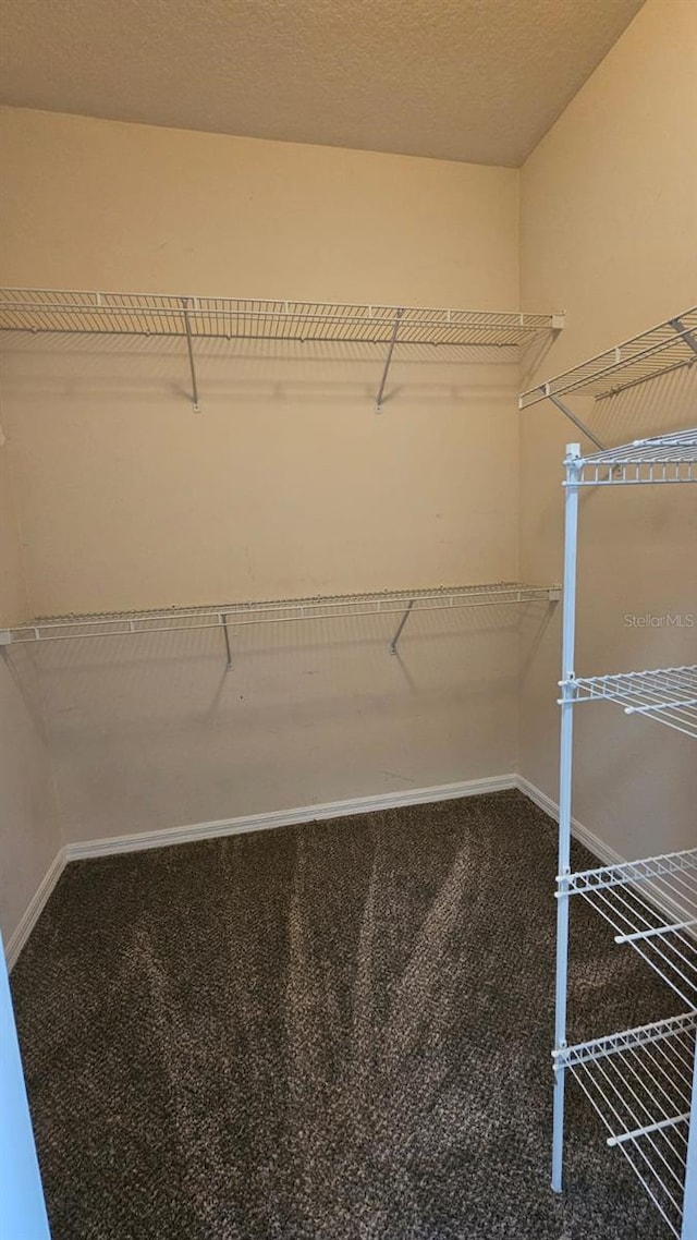 spacious closet with carpet floors