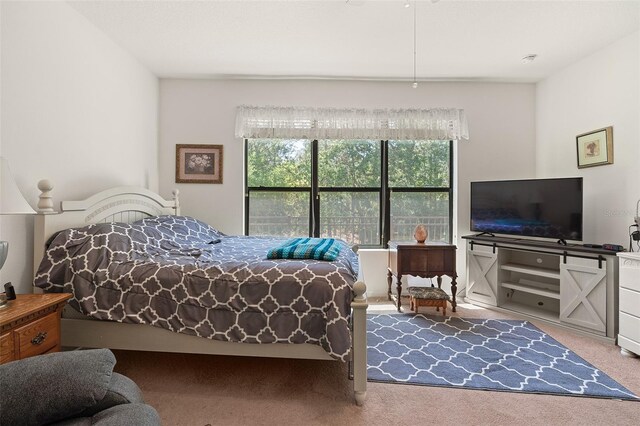 1825 Pelican Hill Way, Kissimmee, FL 34759 - photo 20
