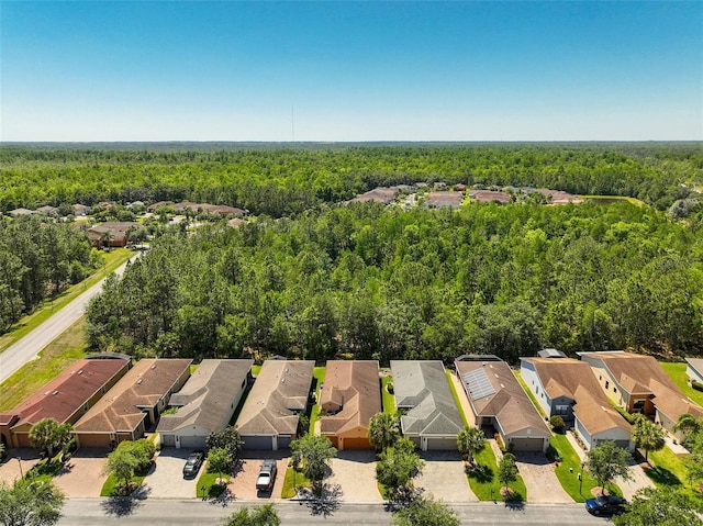 1825 Pelican Hill Way, Kissimmee, FL 34759 - photo 31