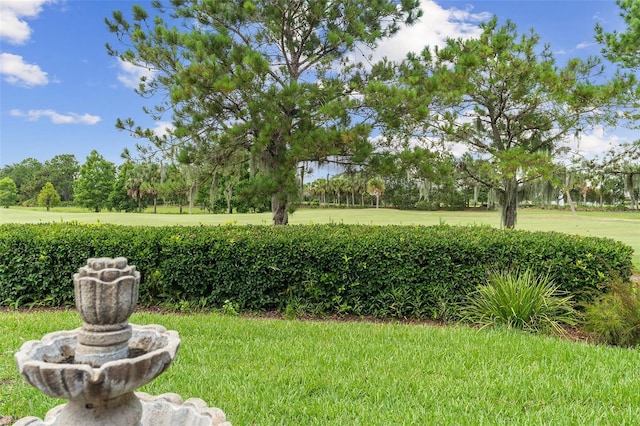 133 Torino Ln, Kissimmee, FL 34759 - view of grassy yard featuring view of wooded area