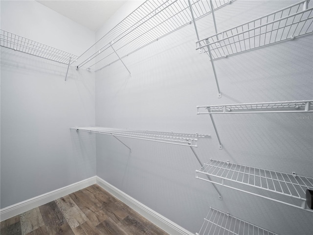 145 Willow Dr, Poinciana, FL 34759 - walk in closet with wood finished floors