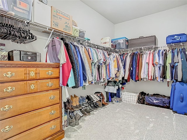 view of walk in closet