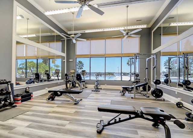 130 Blazing Star Ave, Lake Alfred, FL 33850