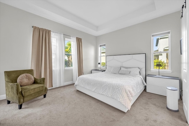 8338 Modiano St, Orlando, FL 32827 - bedroom with carpet flooring, a barn door, and a raised ceiling