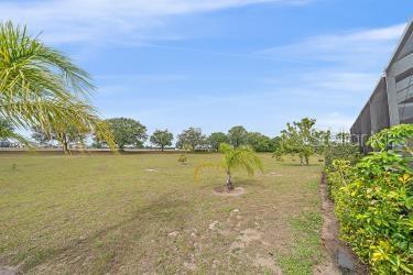 18011 Prairie Wolf Gln, Parrish, FL 34219 - view of yard