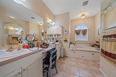 18011 Prairie Wolf Gln, Parrish, FL 34219 - full bath with a garden tub, tile patterned floors, and vanity
