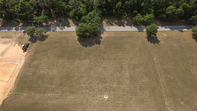 Grass Roots Rd, Groveland, FL 34736 - photo 7