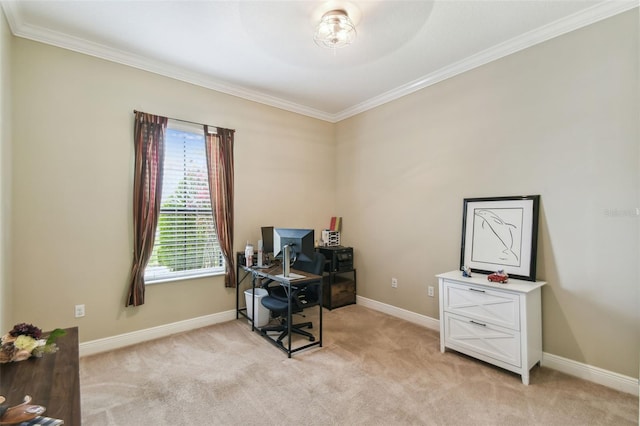 office featuring baseboards, crown molding, and light colored carpet