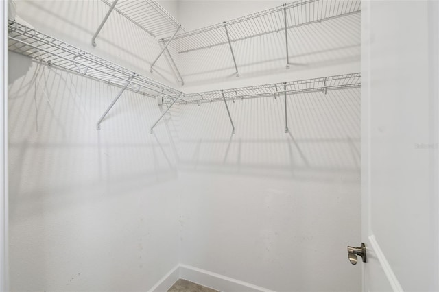204 Bella Cortina Dr, Kissimmee, FL 34759 - view of walk in closet