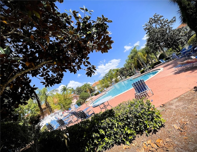 4871 Coral Castle Dr, Kissimmee, FL 34746 - pool with a patio