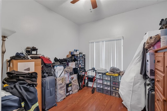 430 Marlberry Leaf Ave, Kissimmee, FL 34758 - photo 14