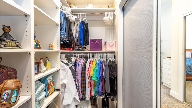 2734 Eagle Lake Dr, Orlando, FL 32837 - view of spacious closet