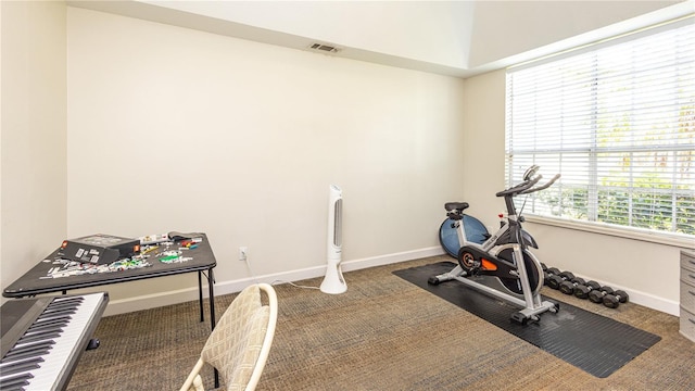 2734 Eagle Lake Dr, Orlando, FL 32837 - exercise area with carpet floors, visible vents, and baseboards