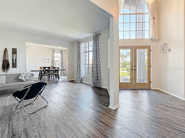 entryway with french doors, a wealth of natural light, and wood finished floors
