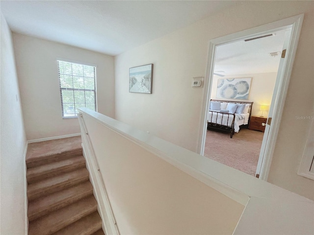141 Summer Place Loop, Clermont, FL 34714 - staircase featuring carpet flooring and baseboards