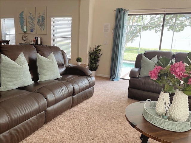 141 Summer Place Loop, Clermont, FL 34714 - living room with light carpet and baseboards