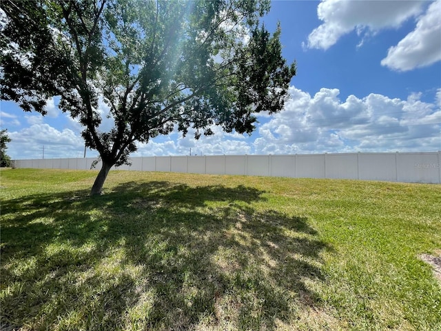 141 Summer Place Loop, Clermont, FL 34714 - view of yard
