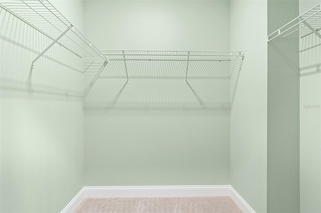 7505 Laureate Blvd Unit 2208, Orlando, FL 32827 - walk in closet with carpet