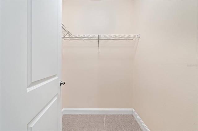 7505 Laureate Blvd Unit 2208, Orlando, FL 32827 - walk in closet with carpet flooring