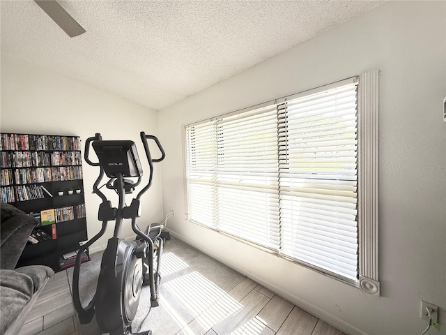 6922 Doehring Dr, Lakeland, FL 33810 - exercise room with a textured ceiling and lofted ceiling