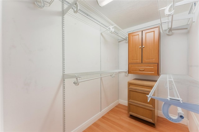 spacious closet with light wood-type flooring