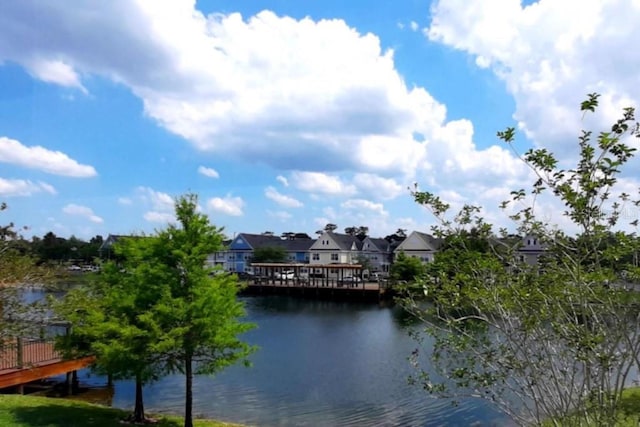 water view with a residential view