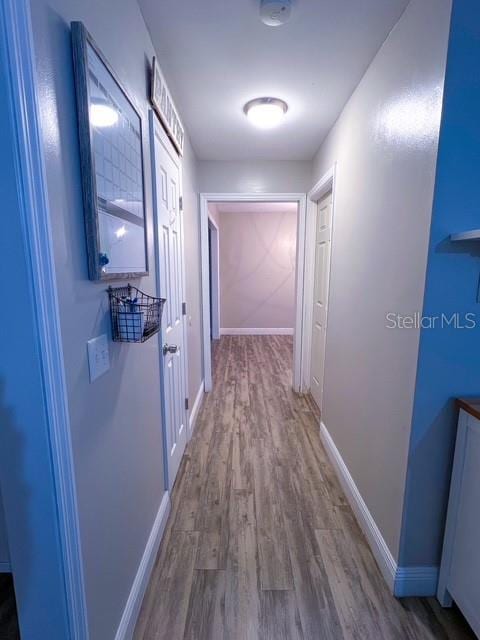 1928 Lawson Rd, Tallahassee, FL 32308 - photo 24