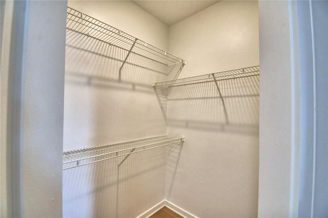 660 Celebration Ave Unit 240, Kissimmee, FL 34747 - view of walk in closet