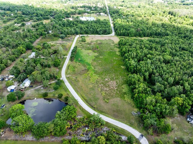 0000 Fanny Bass Ln, Saint Cloud, FL 34772 - photo 8