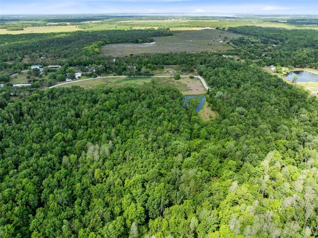 0000 Fanny Bass Ln, Saint Cloud, FL 34772 - photo 9
