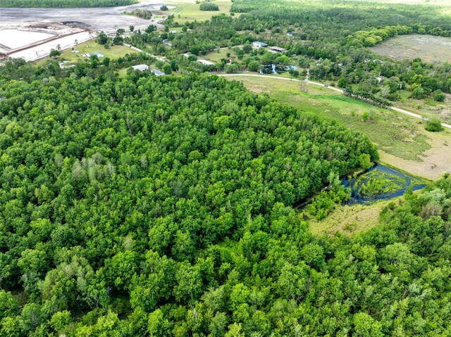 0000 Fanny Bass Ln, Saint Cloud, FL 34772 - photo 10