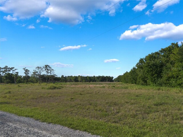 0000 Fanny Bass Ln, Saint Cloud, FL 34772 - photo 17