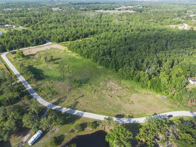 0000 Fanny Bass Ln, Saint Cloud, FL 34772 - photo 21